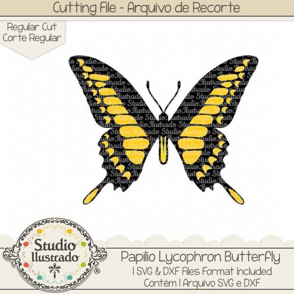 Papilo Lycophron Butterfly
