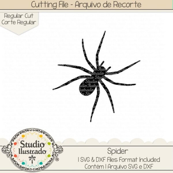 Spider