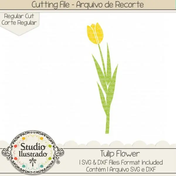 Tulip Flower
