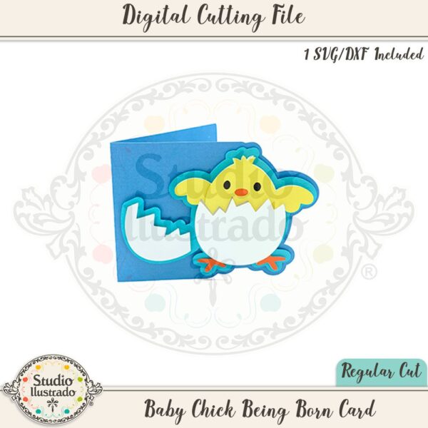 Baby Chick Being Born Card