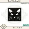 Cat in the Dark