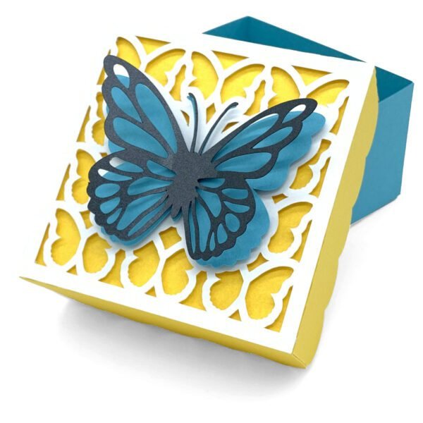 SI Butterfly Box 2