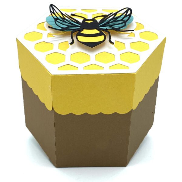 SI Bee Hexagonal Box 2