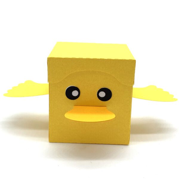 SI Duck Box 2