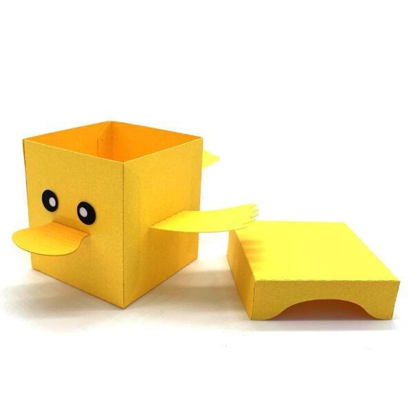 SI Duck Box 3 scaled