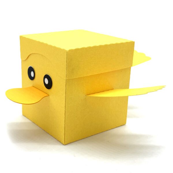 SI Duck Box 4