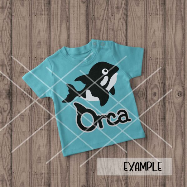 SI Orca Whale mock