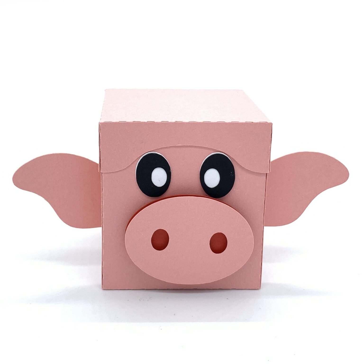 Pig Box - Studio Ilustrado