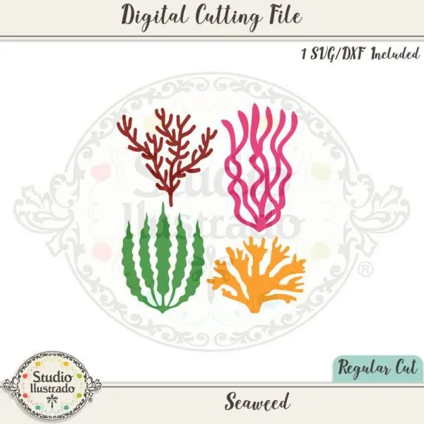 Seaweed