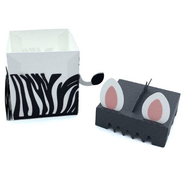 Zebra Box - Image 5